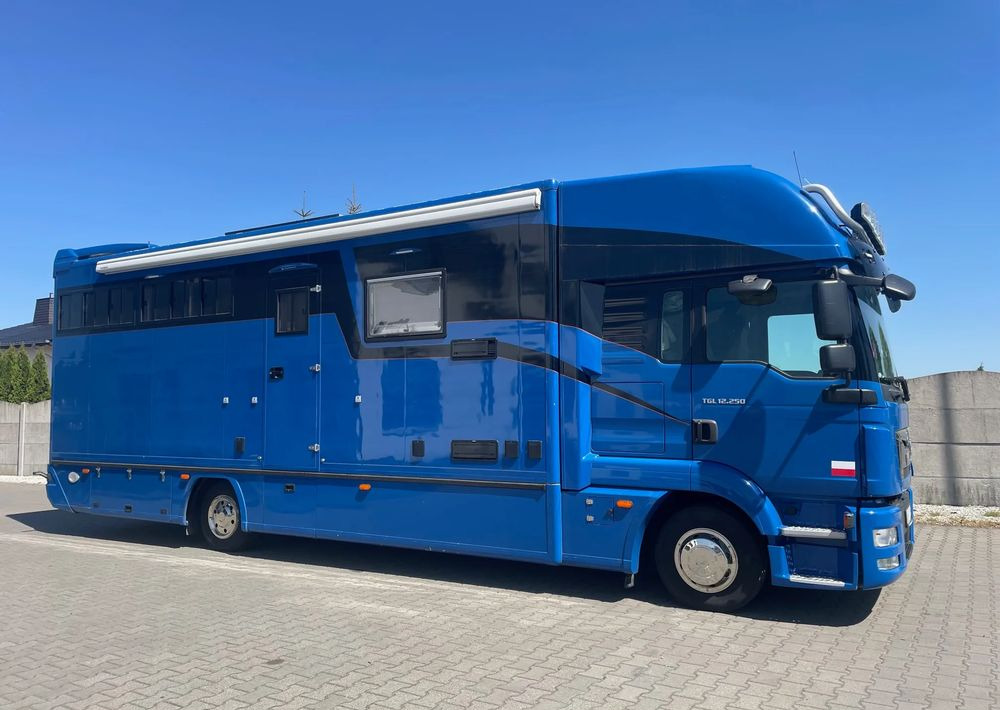 MAN TGL 12.250/ KONIOWÓZ- ROELOFSEN/ 4 KONIE/ - Paardenvrachtwagen: afbeelding 3 MAN TGL 12.250/ KONIOWÓZ- ROELOFSEN/ 4 KONIE/ - Paardenvrachtwagen: afbeelding 3