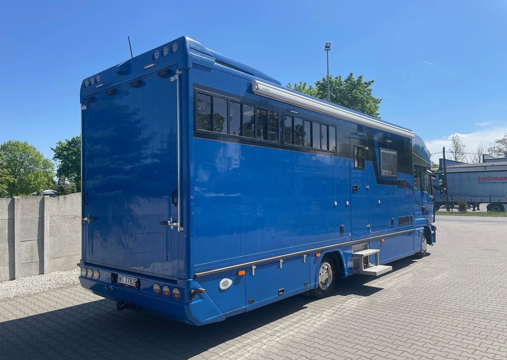 MAN TGL 12.250/ KONIOWÓZ- ROELOFSEN/ 4 KONIE/ - Paardenvrachtwagen: afbeelding 4 MAN TGL 12.250/ KONIOWÓZ- ROELOFSEN/ 4 KONIE/ - Paardenvrachtwagen: afbeelding 4