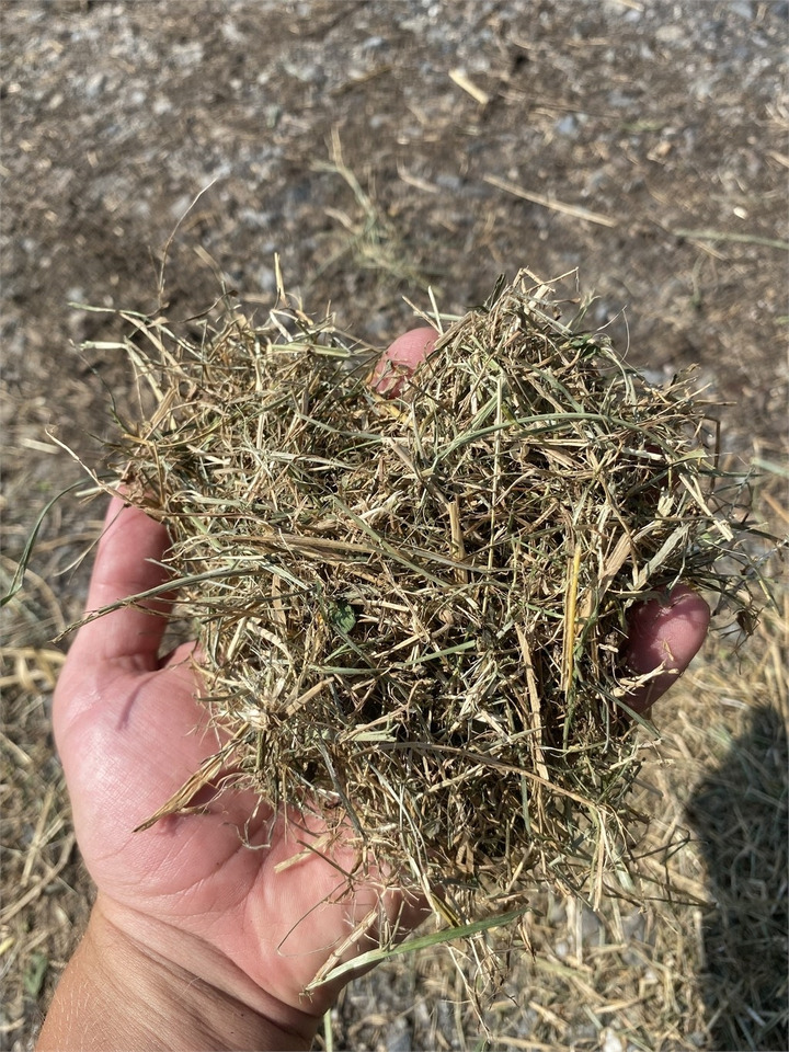 Stroblazer Bizon B-1030 Kompost Schredder Biomasse Mist Compost shr: afbeelding 10 Stroblazer Bizon B-1030 Kompost Schredder Biomasse Mist Compost shr: afbeelding 10