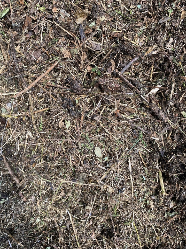 Stroblazer Bizon B-1030 Kompost Schredder Biomasse Mist Compost shr: afbeelding 8 Stroblazer Bizon B-1030 Kompost Schredder Biomasse Mist Compost shr: afbeelding 8