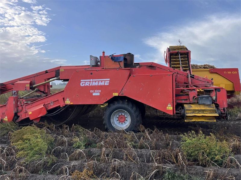 Grimme GV 3000 - Aardappelrooier: afbeelding 3 Grimme GV 3000 - Aardappelrooier: afbeelding 3