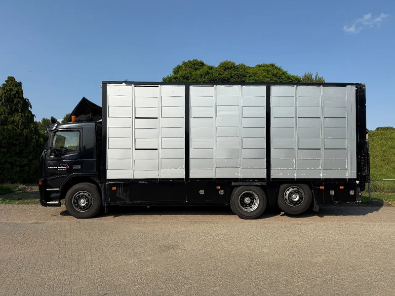 Volvo FM 300 Livestock Cuppers 3 laags 6x2 - Veewagen vrachtwagen: afbeelding 4 Volvo FM 300 Livestock Cuppers 3 laags 6x2 - Veewagen vrachtwagen: afbeelding 4