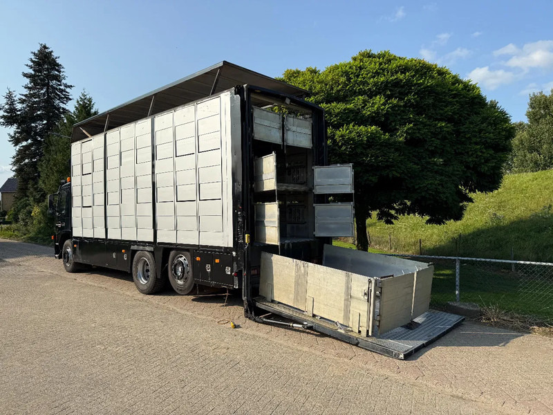Volvo FM 300 Livestock Cuppers 3 laags 6x2 - Veewagen vrachtwagen: afbeelding 2 Volvo FM 300 Livestock Cuppers 3 laags 6x2 - Veewagen vrachtwagen: afbeelding 2