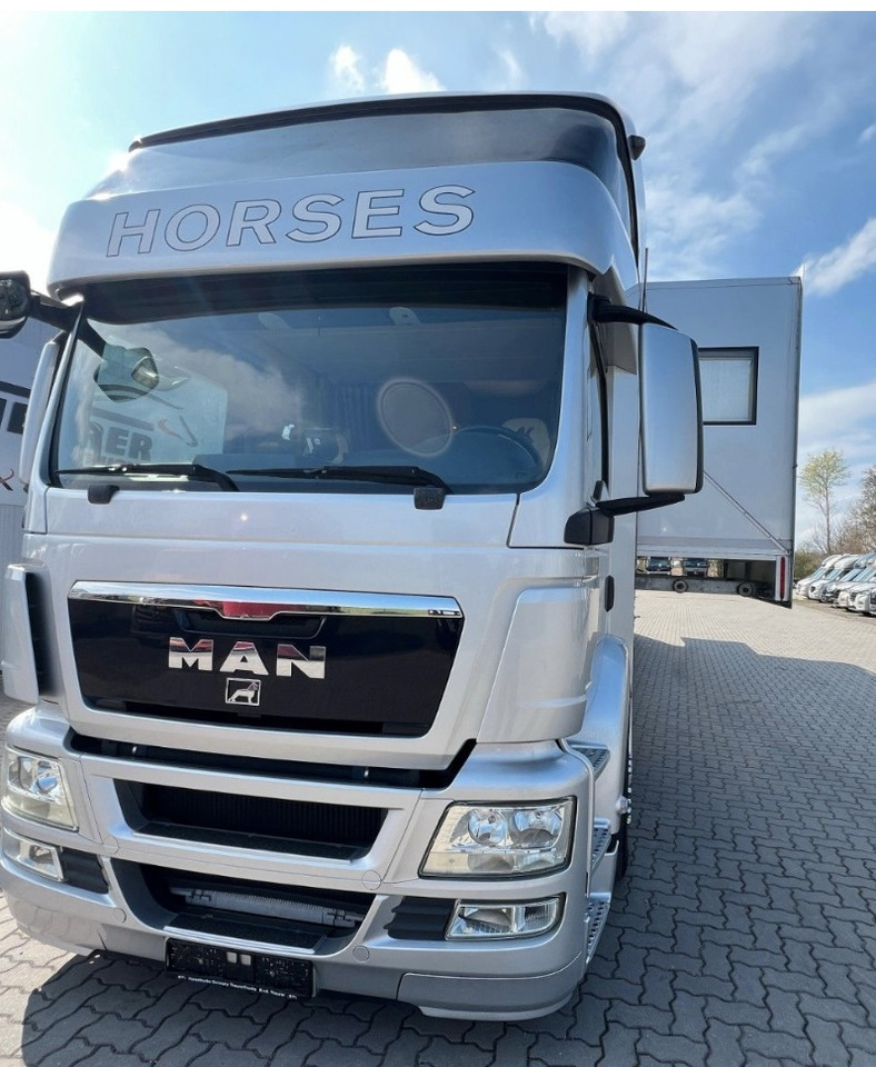 MAN 26.480 5 pferde - Paardenvrachtwagen: afbeelding 3 MAN 26.480 5 pferde - Paardenvrachtwagen: afbeelding 3