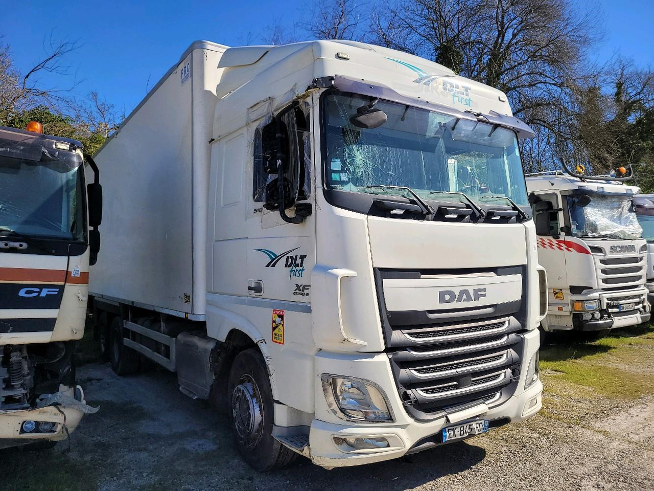 DAF XF510 - Koelwagen vrachtwagen: afbeelding 1 DAF XF510 - Koelwagen vrachtwagen: afbeelding 1