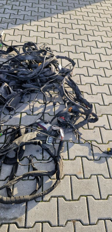 MAN TG3 TGX WIĄZKA ELEKTRYCZNA RAMY - Elektrisch systeem: afbeelding 4 MAN TG3 TGX WIĄZKA ELEKTRYCZNA RAMY - Elektrisch systeem: afbeelding 4