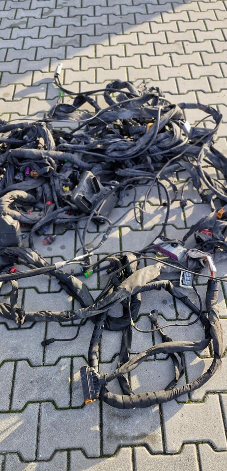 MAN TG3 TGX WIĄZKA ELEKTRYCZNA RAMY - Elektrisch systeem: afbeelding 3 MAN TG3 TGX WIĄZKA ELEKTRYCZNA RAMY - Elektrisch systeem: afbeelding 3