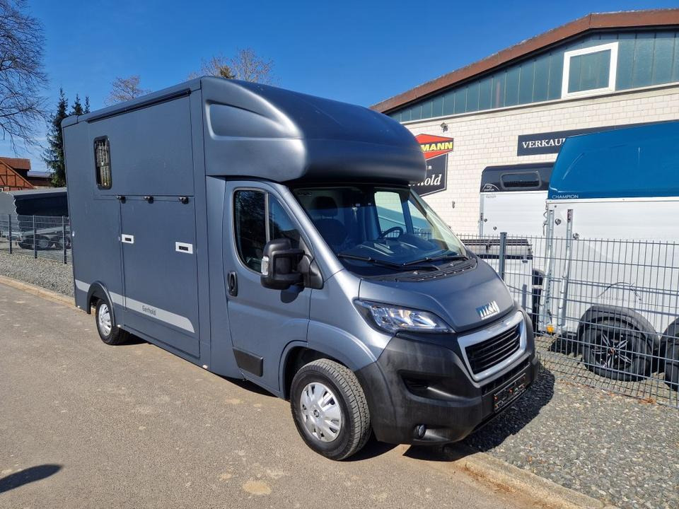 MSG Stablehopper Pferdetransporter Pferdeanhänger Böckmann - Paardenvrachtwagen: afbeelding 3 MSG Stablehopper Pferdetransporter Pferdeanhänger Böckmann - Paardenvrachtwagen: afbeelding 3