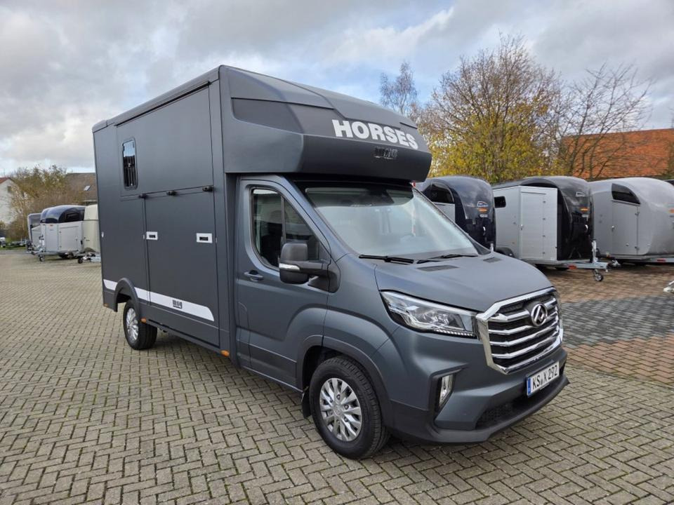 MSG Stablehopper Pferdetransporter Pferdeanhänger Böckmann - Paardenvrachtwagen: afbeelding 5 MSG Stablehopper Pferdetransporter Pferdeanhänger Böckmann - Paardenvrachtwagen: afbeelding 5