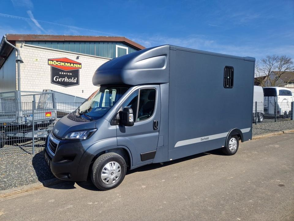 MSG Stablehopper Pferdetransporter Pferdeanhänger Böckmann - Paardenvrachtwagen: afbeelding 2 MSG Stablehopper Pferdetransporter Pferdeanhänger Böckmann - Paardenvrachtwagen: afbeelding 2