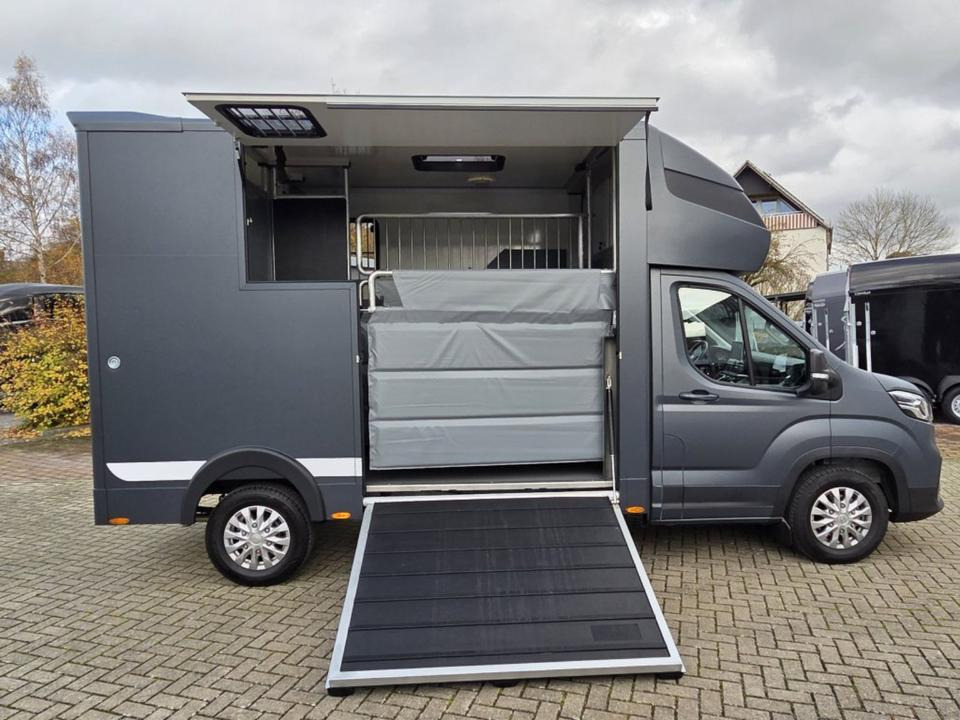 MSG Stablehopper Pferdetransporter Pferdeanhänger Böckmann - Paardenvrachtwagen: afbeelding 3 MSG Stablehopper Pferdetransporter Pferdeanhänger Böckmann - Paardenvrachtwagen: afbeelding 3