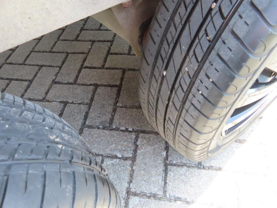 Paardentrailer Pferdeanhänger Böckmann Duo/ Cavallo Sattelkammer TÜV NEU: afbeelding 6