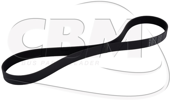 HUTCHINSON ALTERNATOR BELT - MERCEDES MAN (A0003531720 | 81351070056) - Riem voor Bus: afbeelding 1 HUTCHINSON ALTERNATOR BELT - MERCEDES MAN (A0003531720 | 81351070056) - Riem voor Bus: afbeelding 1