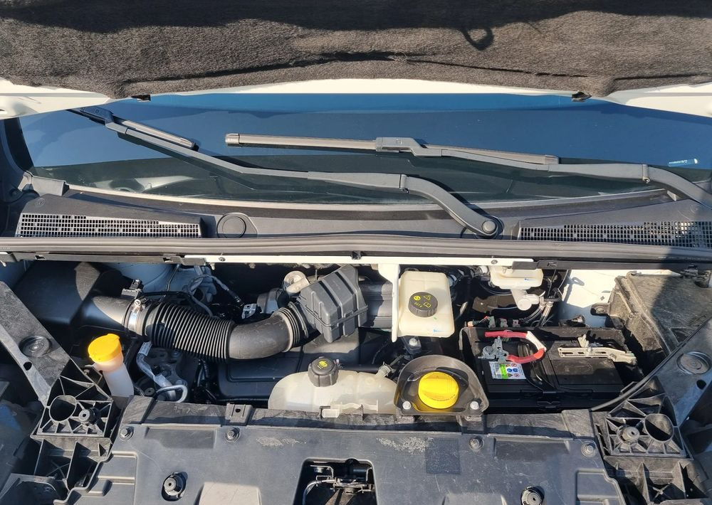 Kleine bestelwagen Renault Trafic: afbeelding 18 Kleine bestelwagen Renault Trafic: afbeelding 18