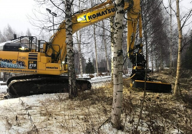 AX-Ketjumurskaimet - Bosfrees: afbeelding 5 AX-Ketjumurskaimet - Bosfrees: afbeelding 5