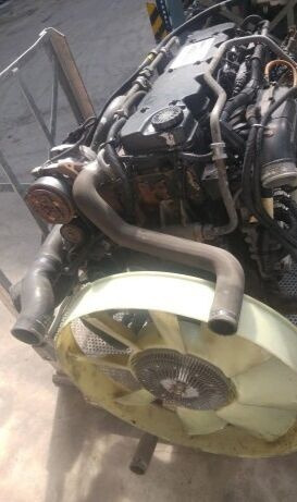 IVECO F4AE3681A IVECO EUROCARGO F4AE3681A truck - Motor voor Vrachtwagen: afbeelding 3 IVECO F4AE3681A IVECO EUROCARGO F4AE3681A truck - Motor voor Vrachtwagen: afbeelding 3