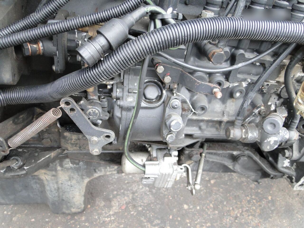 MAN D2865 LF05 MAN F90, F2000 - Motor voor Vrachtwagen: afbeelding 4 MAN D2865 LF05 MAN F90, F2000 - Motor voor Vrachtwagen: afbeelding 4