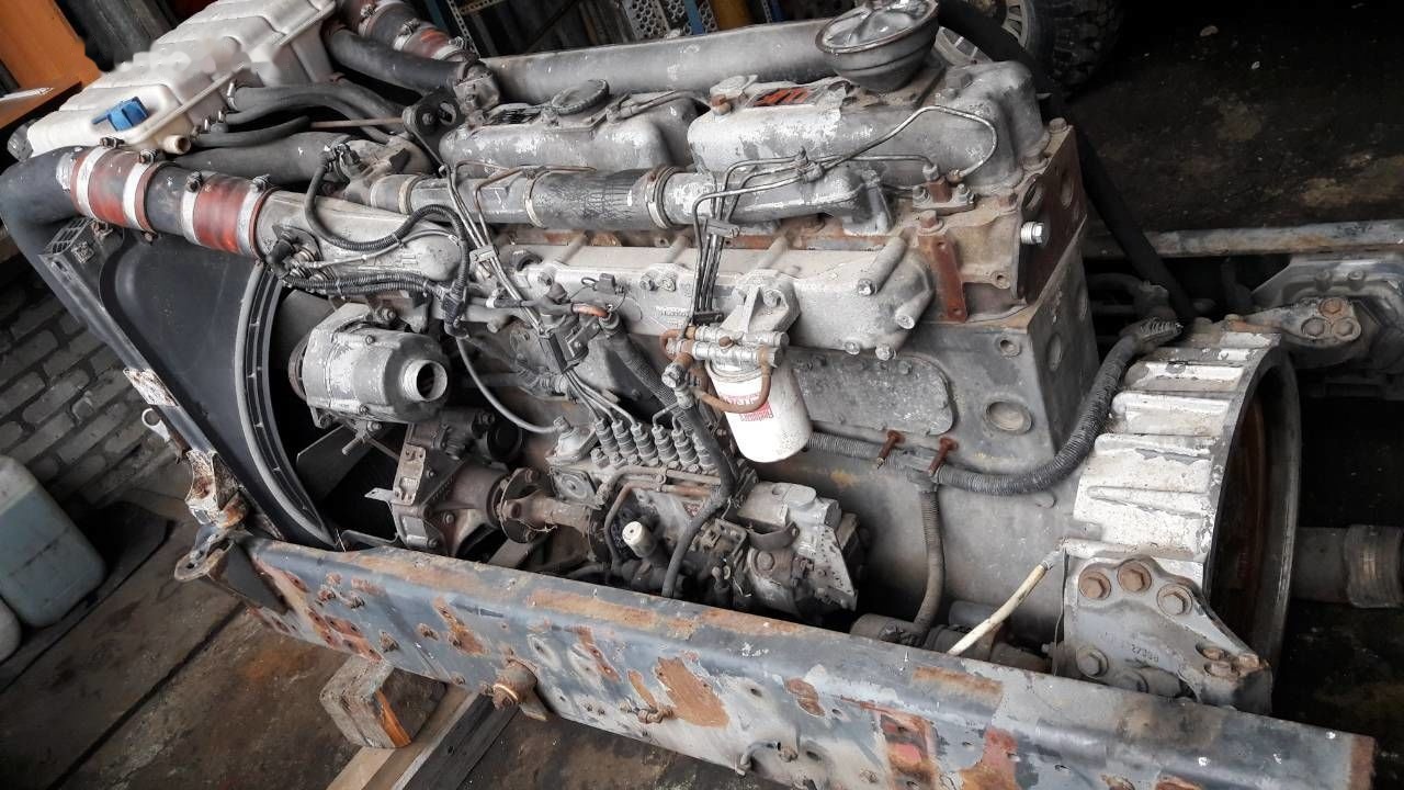 DAF WS268G DAF 95 85 - Motor voor Vrachtwagen: afbeelding 3 DAF WS268G DAF 95 85 - Motor voor Vrachtwagen: afbeelding 3