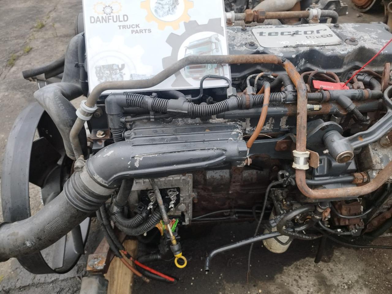 IVECO F4AE0681 B IVECO EuroCargo I-III - Motor voor Vrachtwagen: afbeelding 1 IVECO F4AE0681 B IVECO EuroCargo I-III - Motor voor Vrachtwagen: afbeelding 1