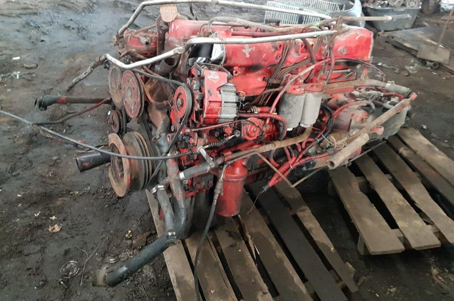 MAN D0226 MKF/170 Van Hool T8-Series - Motor voor Vrachtwagen: afbeelding 4 MAN D0226 MKF/170 Van Hool T8-Series - Motor voor Vrachtwagen: afbeelding 4