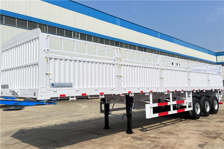 TITAN Tri Axle 60 Ton Fence Cargo Semi Trailer for Sale In Guinea - Veewagen oplegger: afbeelding 1 TITAN Tri Axle 60 Ton Fence Cargo Semi Trailer for Sale In Guinea - Veewagen oplegger: afbeelding 1