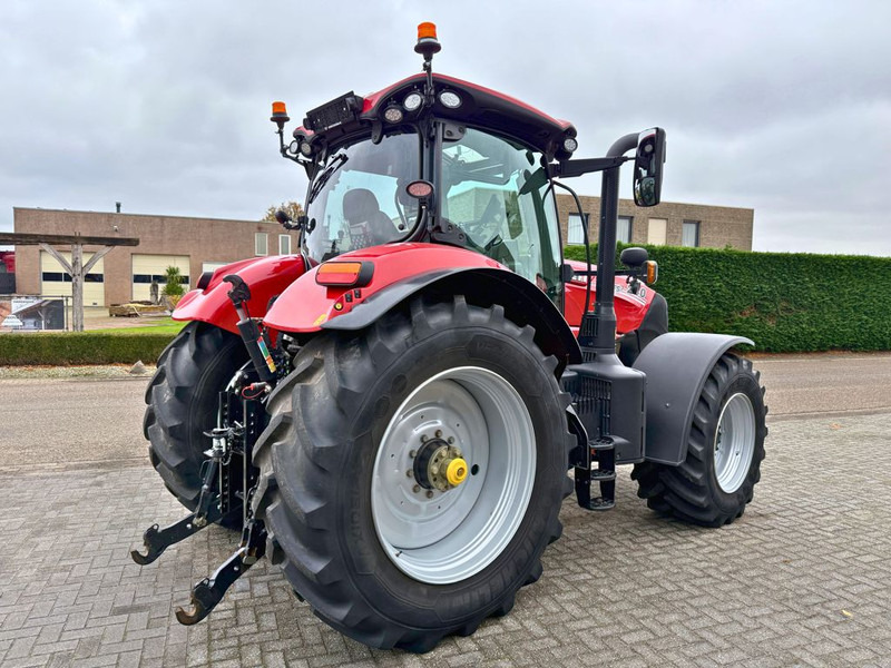 Case IH Puma 240 CVX Stage V GPS RTK - Tractor: afbeelding 3 Case IH Puma 240 CVX Stage V GPS RTK - Tractor: afbeelding 3