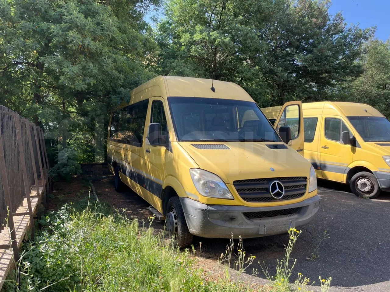 Mercedes-Benz Sprinter - Schoolbus: afbeelding 1 Mercedes-Benz Sprinter - Schoolbus: afbeelding 1