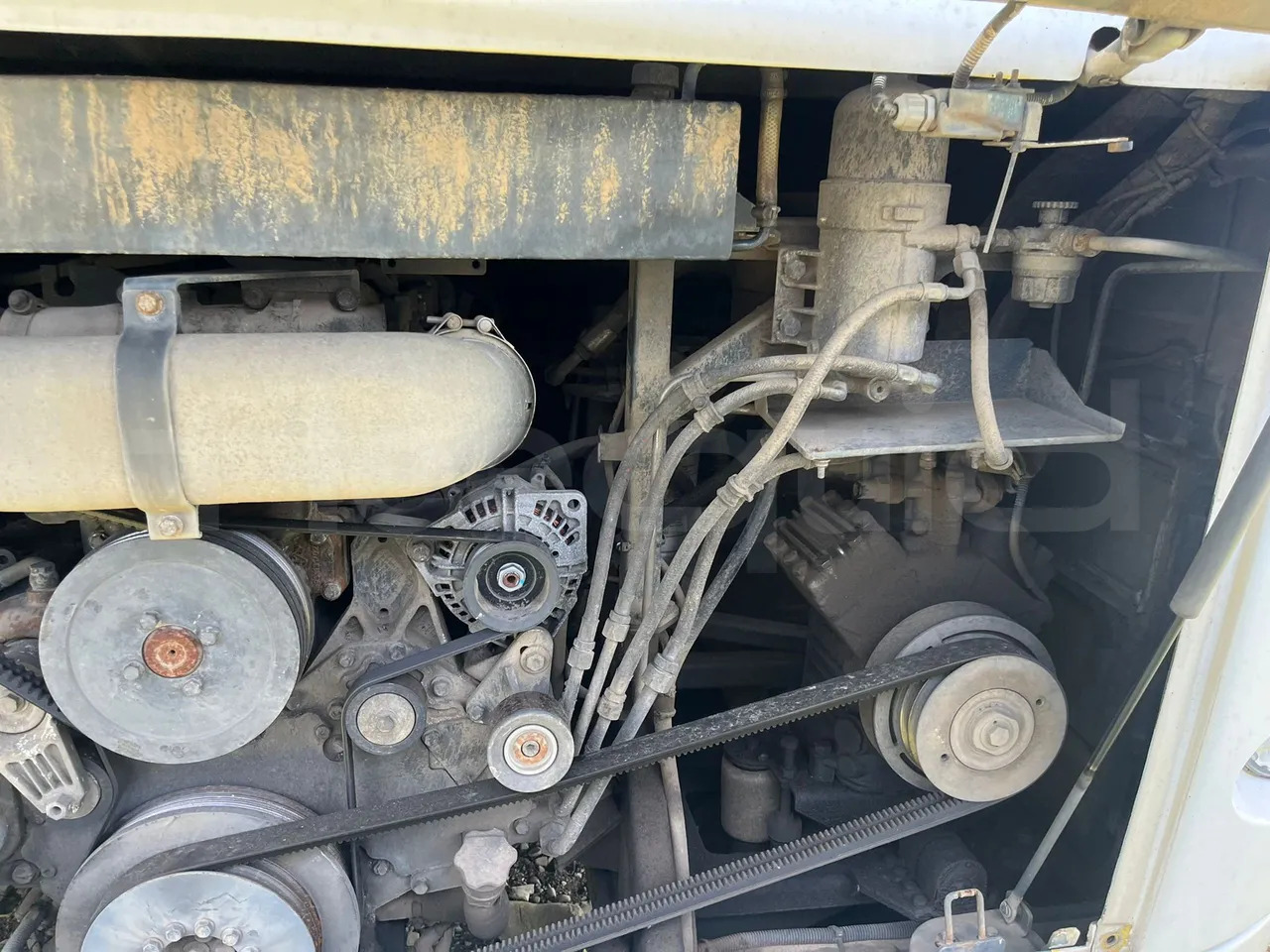 Streekbus Temsa Safari: afbeelding 12 Streekbus Temsa Safari: afbeelding 12