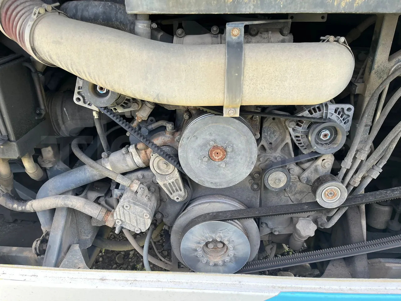 Streekbus Temsa Safari: afbeelding 11 Streekbus Temsa Safari: afbeelding 11