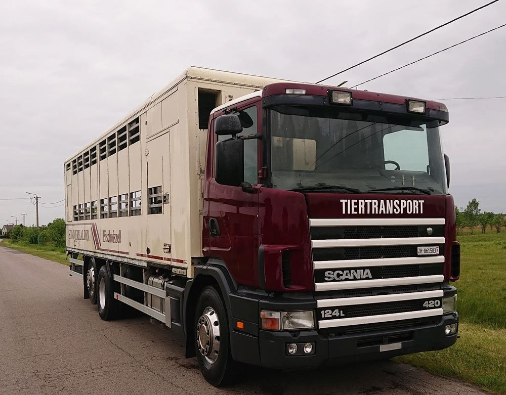 Scania 124 420 Do żywca - Veewagen vrachtwagen: afbeelding 3 Scania 124 420 Do żywca - Veewagen vrachtwagen: afbeelding 3