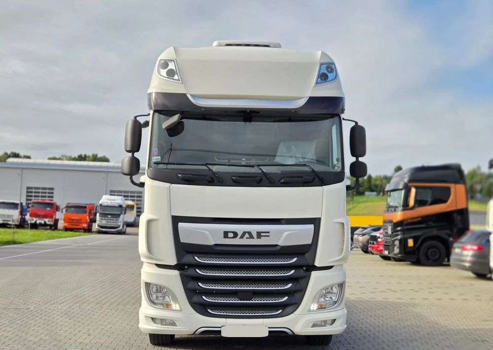 DAF XF 480 SSC - Trekker: afbeelding 3 DAF XF 480 SSC - Trekker: afbeelding 3