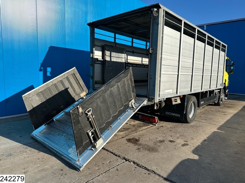 Scania P 320 EURO 5, Manual transmission, Retarder - Veewagen vrachtwagen: afbeelding 4 Scania P 320 EURO 5, Manual transmission, Retarder - Veewagen vrachtwagen: afbeelding 4