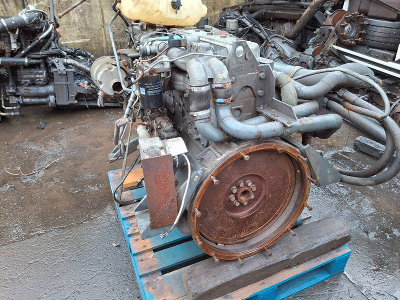 DAF RS180M (75CF) - Motor: afbeelding 3 DAF RS180M (75CF) - Motor: afbeelding 3