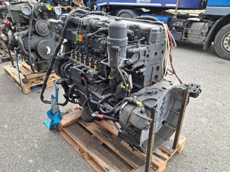 PACCAR PR228S2 (310HP) - Motor: afbeelding 4 PACCAR PR228S2 (310HP) - Motor: afbeelding 4