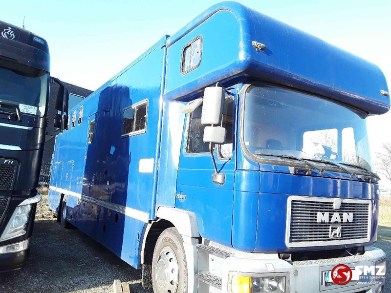 MAN 18.264 - Veewagen vrachtwagen: afbeelding 3 MAN 18.264 - Veewagen vrachtwagen: afbeelding 3