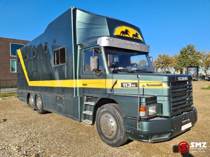 Scania 113 paarden/mobilhome - Paardenvrachtwagen: afbeelding 2 Scania 113 paarden/mobilhome - Paardenvrachtwagen: afbeelding 2