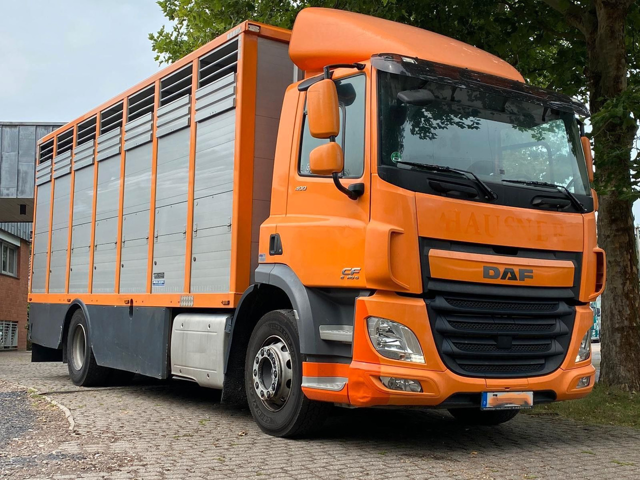 DAF CF 400 Menke Einstock - Paardenvrachtwagen: afbeelding 5 DAF CF 400 Menke Einstock - Paardenvrachtwagen: afbeelding 5