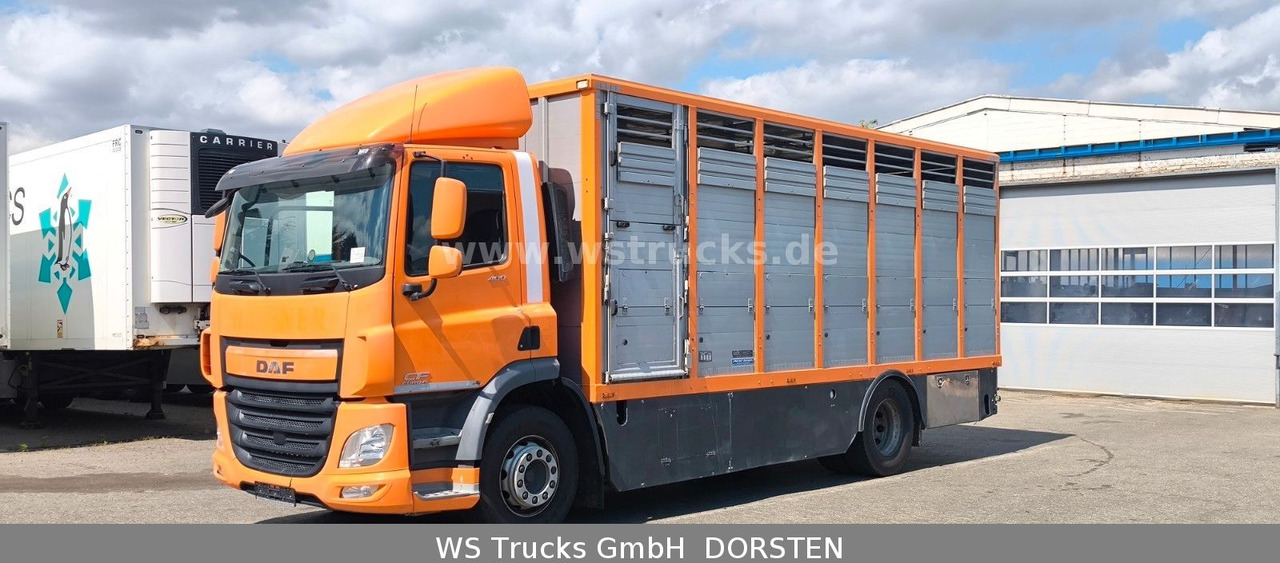 DAF CF 400 Menke Einstock - Paardenvrachtwagen: afbeelding 2 DAF CF 400 Menke Einstock - Paardenvrachtwagen: afbeelding 2