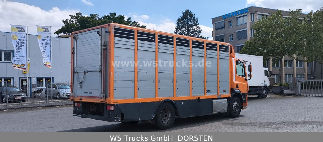 DAF CF 400 Menke Einstock - Paardenvrachtwagen: afbeelding 5 DAF CF 400 Menke Einstock - Paardenvrachtwagen: afbeelding 5