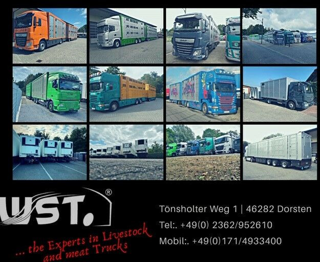 Autovrachtwagen vrachtwagen DAF CF 75 360 Spezial Radmulden 9,00 m Tielader: afbeelding 23