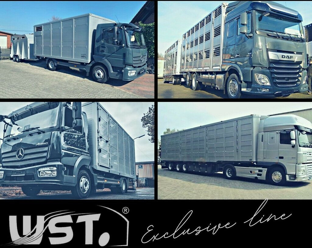 Autovrachtwagen vrachtwagen DAF CF 75 360 Spezial Radmulden 9,00 m Tielader: afbeelding 22