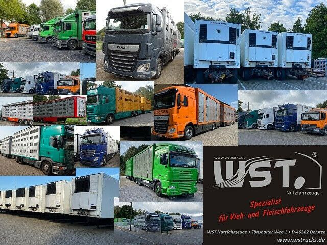 Autovrachtwagen vrachtwagen DAF CF 75 360 Spezial Radmulden 9,00 m Tielader: afbeelding 21