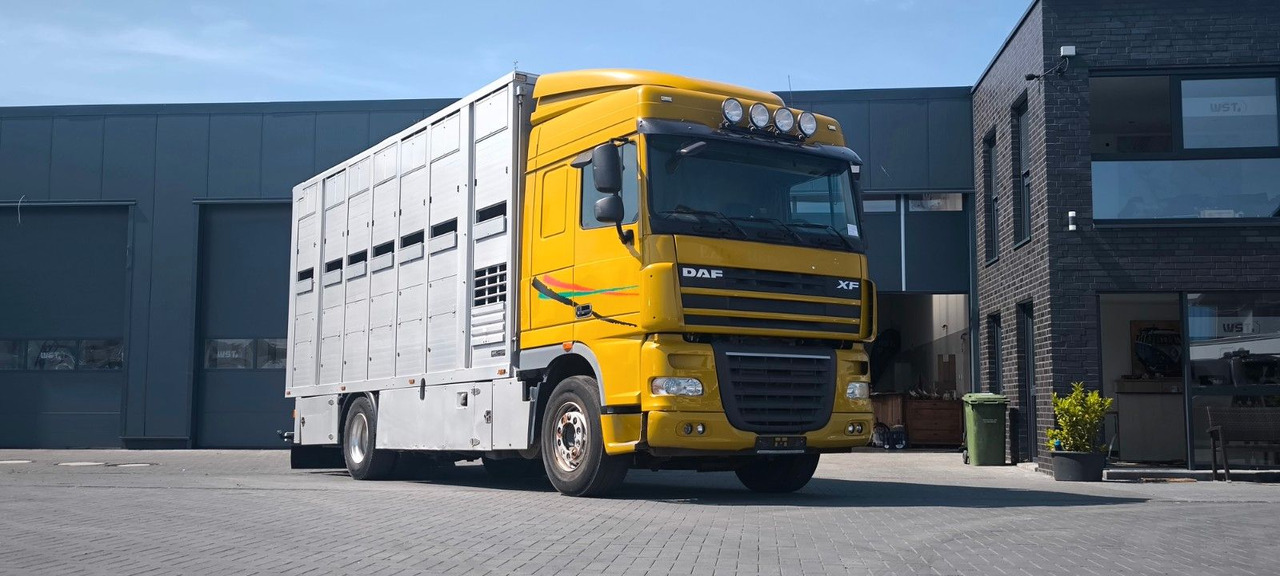 DAF XF 410 SC Menke Doppelstock - Paardenvrachtwagen: afbeelding 4 DAF XF 410 SC Menke Doppelstock - Paardenvrachtwagen: afbeelding 4
