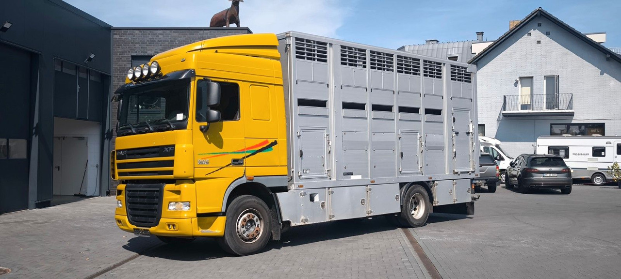 DAF XF 410 SC Menke Doppelstock - Paardenvrachtwagen: afbeelding 5 DAF XF 410 SC Menke Doppelstock - Paardenvrachtwagen: afbeelding 5