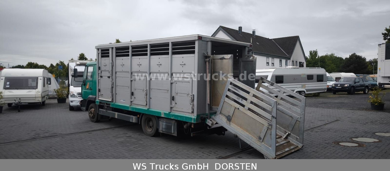 MAN LE 8.220 Menke Einstock Großvieh - Veewagen vrachtwagen: afbeelding 3 MAN LE 8.220 Menke Einstock Großvieh - Veewagen vrachtwagen: afbeelding 3