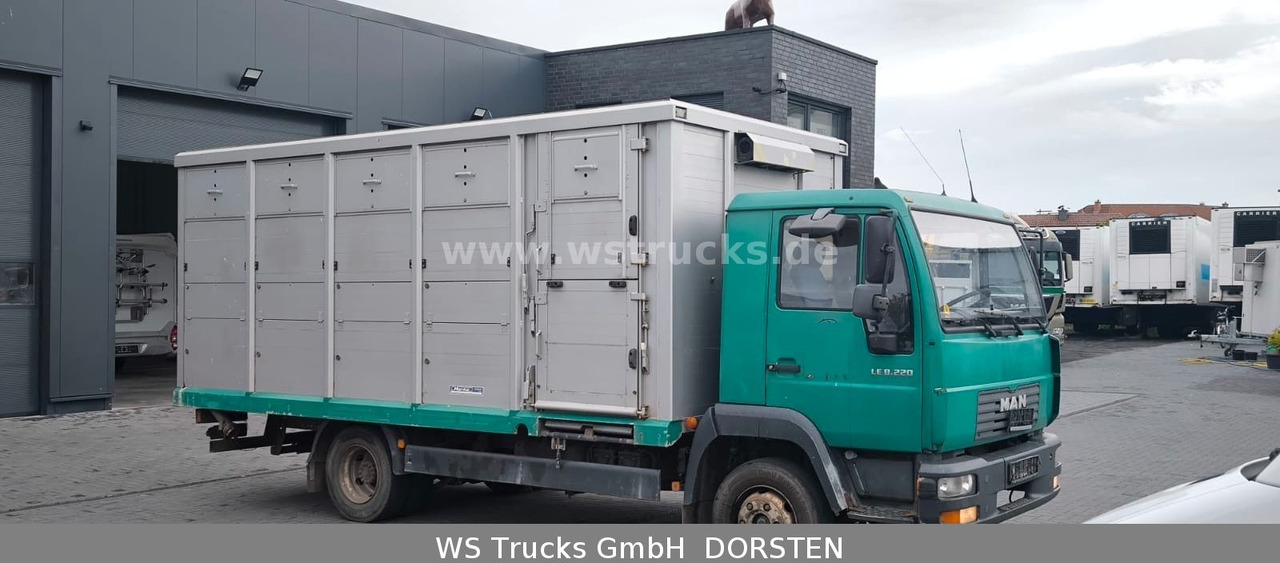MAN LE 8.220 Menke Einstock Großvieh - Veewagen vrachtwagen: afbeelding 2 MAN LE 8.220 Menke Einstock Großvieh - Veewagen vrachtwagen: afbeelding 2