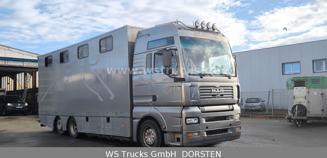 MAN TGA 26.480 FG 6x2 Pferdetransporter Luft/Luft - Paardenvrachtwagen: afbeelding 3 MAN TGA 26.480 FG 6x2 Pferdetransporter Luft/Luft - Paardenvrachtwagen: afbeelding 3