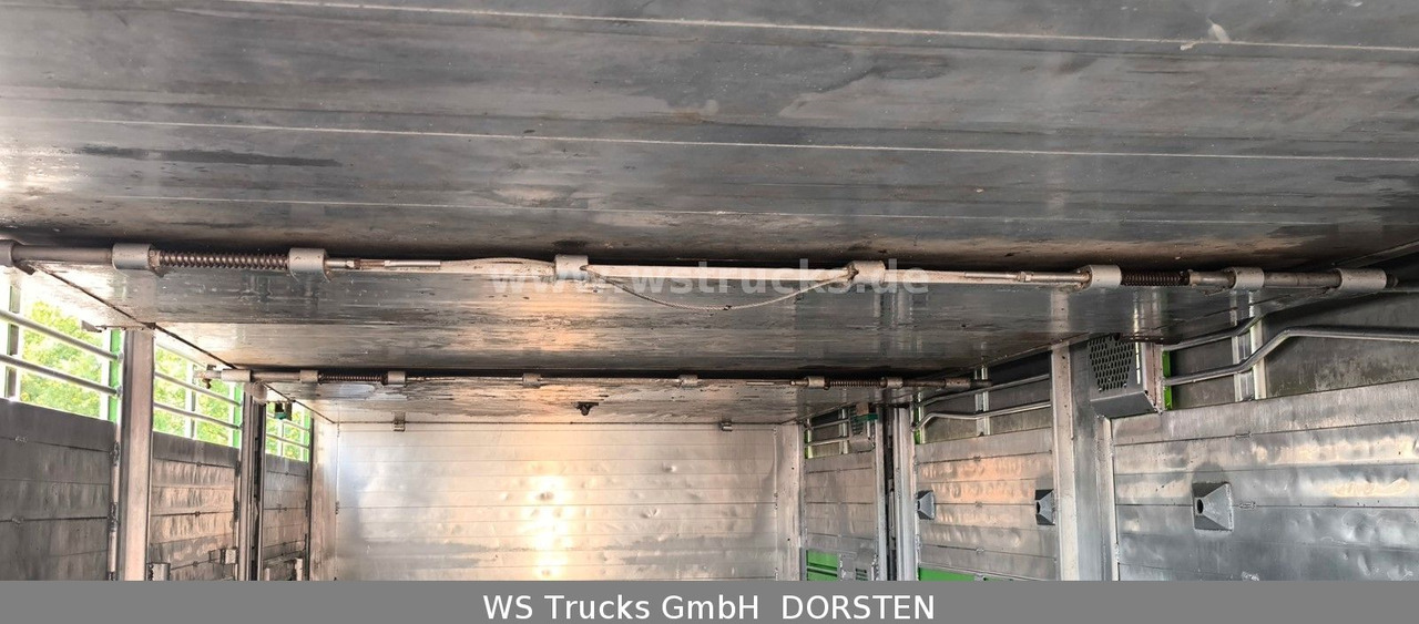 Paardenvrachtwagen MAN TGX 26.480 XL KABA   3 Stock Viehtransporter: afbeelding 18