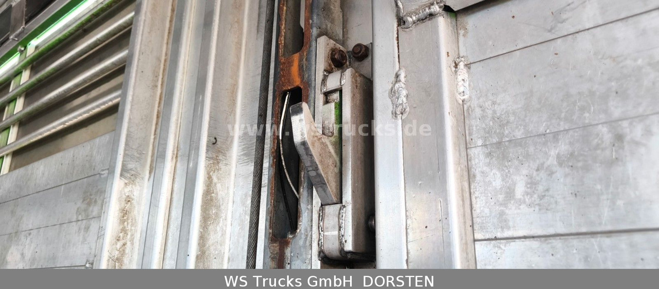 Paardenvrachtwagen MAN TGX 26.480 XL KABA   3 Stock Viehtransporter: afbeelding 14