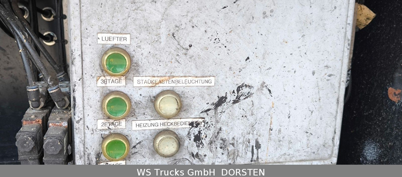 Paardenvrachtwagen MAN TGX 26.480 XL KABA   3 Stock Viehtransporter: afbeelding 28